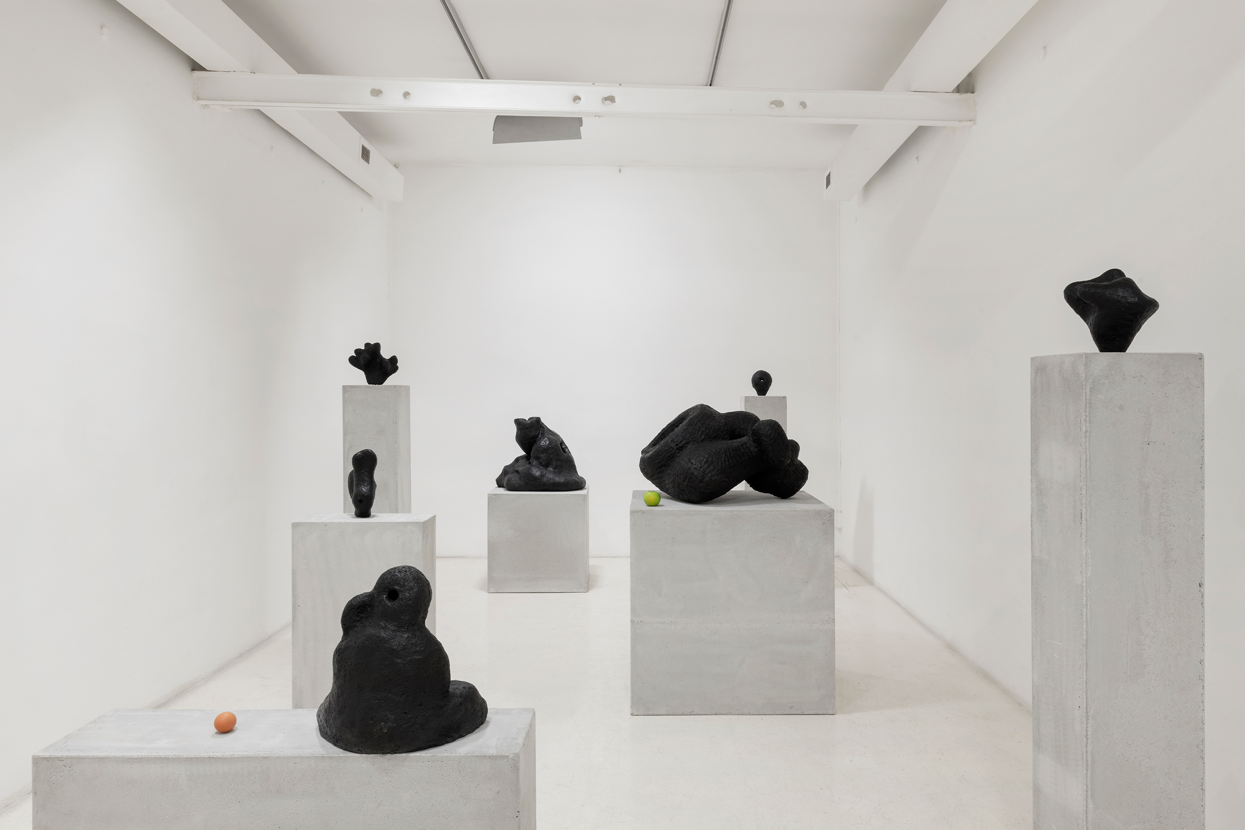 Namsal Siedlecki, Mvaḥ Chā, 2020. View of the exhibition curated by Marcello Smarrelli, Courtesy Fondazione Pastificio Cerere and the artist. Photo Andrea Veneri_