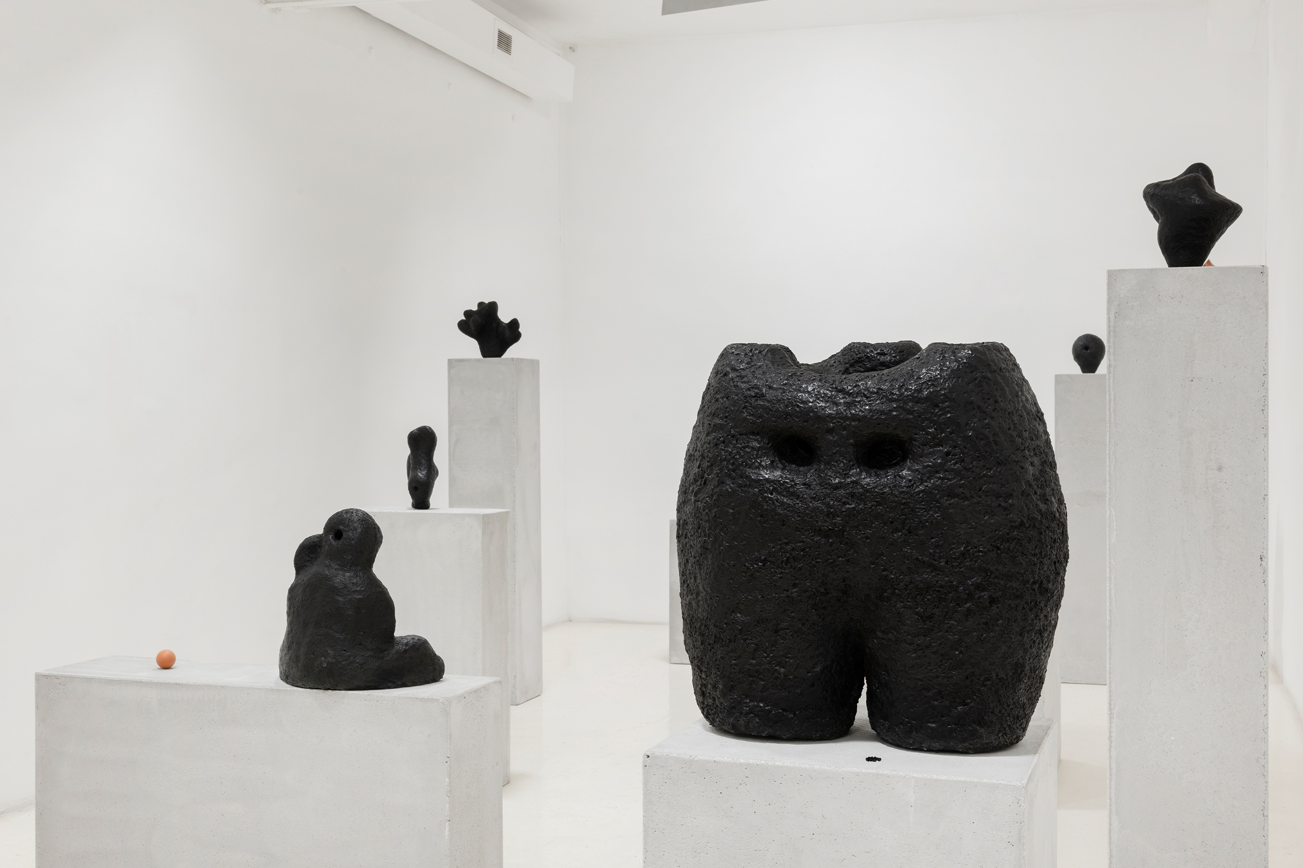 Namsal Siedlecki, Mvaḥ Chā, 2020. View of the exhibition curated by Marcello Smarrelli, Courtesy Fondazione Pastificio Cerere and the artist. Photo Andrea Veneri_3